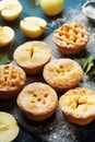 Yummy apple pies decorated sugar powder. Autumn pastry dessert on black board.