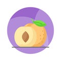Yummy apricot vector design, icon of healthy fruits in modern style