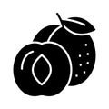 Yummy apricot vector design, icon of healthy fruits in modern style