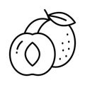 Yummy apricot vector design, icon of healthy fruits in modern style