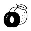 Yummy apricot vector design, icon of healthy fruits in modern style