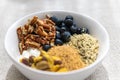 Yummy bowl of yogurt with blueberries pecans pistachios flaxseed and hemp hearts