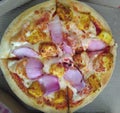 Yummy and cheesey Paneer onion pizza