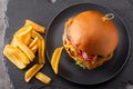 Yummy chicken burger with cheese on a black round plate and fries in side view on a slate background. Royalty Free Stock Photo
