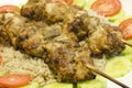 Yummy murg malai Chicken Kabob with rice Royalty Free Stock Photo