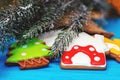 Yummy Christmas cookies near a fir tree branch