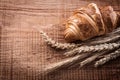 Yummy croissant bunch of wheat ears on oak wooden Royalty Free Stock Photo