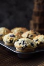 Yummy crumble top blueberry muffins in baking pan on black background with natural lighting copy space Royalty Free Stock Photo