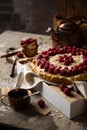 Yummy crust raspberry pie Royalty Free Stock Photo
