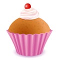 Yummy Cup Cake Royalty Free Stock Photo