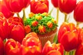 Yummy cupcake and red tulips on light background. Selective focus