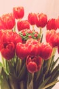 Yummy cupcake and red tulips on light background. Selective focus. Toned