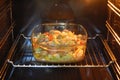 Yummy food in the oven Royalty Free Stock Photo