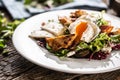 Yummy fresh summer like lettuce salad made of various types of leafs served on the plate with pieces of delicious sheep cheese, Royalty Free Stock Photo