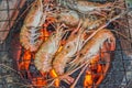 Yummy grilled prawns on hot fire