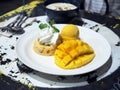 Yummy mango panna cotta and whipped cream with sliced fresh ripe mango and mango sorbet icecream