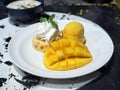 Yummy mango panna cotta and whipped cream with sliced fresh ripe mango and mango sorbet icecream