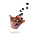 Yummy muffin and blackberries in air on white background Royalty Free Stock Photo