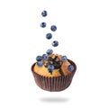 Yummy muffin and blueberries in air on white background Royalty Free Stock Photo