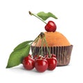 Yummy muffin with cherries isolated on white Royalty Free Stock Photo