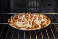 Yummy pizza baked in the oven Royalty Free Stock Photo