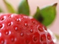 Yummy Strawberry Royalty Free Stock Photo