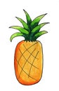 Yummy Watercolor Pineapple