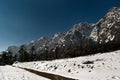 Yumthang Valley Royalty Free Stock Photo