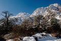 Yumthang Valley Royalty Free Stock Photo