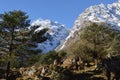 Yumthang valley of sikkim ,India