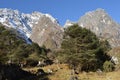 Yumthang valley of sikkim ,India