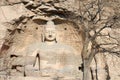 Buddha statue with tree in Cave 20 at Yungang Grottoes near Datong in Shanxi Province, China Royalty Free Stock Photo