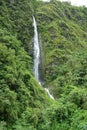 Yungas, Bolivia Royalty Free Stock Photo