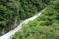 Yungas, Bolivia Royalty Free Stock Photo