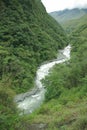 Yungas, Bolivia Royalty Free Stock Photo