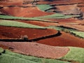 Yunnan dongchuan red field Royalty Free Stock Photo