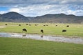 Yunnan landscape Royalty Free Stock Photo