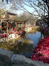 Yunnan Lijiang China Old Town Chinese Heritage Antique Ancient Building Old Village Venice East Beautiful Scenery Water Canals