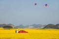 Yunnan Luoping canola flower on a small patch of flowers Bazi