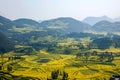 Yunnan Luoping County Niujie Township Camp foot screws terraced canola flower Royalty Free Stock Photo