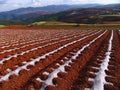 Yunnan red soil dry