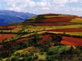 Yunnan red soil dry