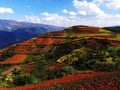 Yunnan red soil dry