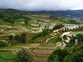 Yunnan rice-paddy terracing Royalty Free Stock Photo