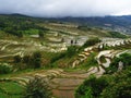 Yunnan rice-paddy terracing