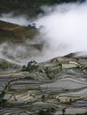 Yunnan rice-paddy terracing