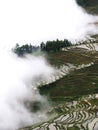 Yunnan rice-paddy terracing