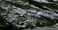 Yunnan rice-paddy terracing