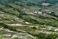 Yunnan rice-paddy terracing Royalty Free Stock Photo