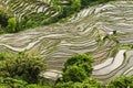 Yunnan rice-paddy terracing